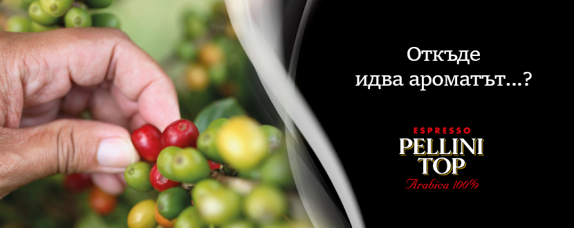 Откъде идва ароматът?