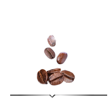 ВКУС