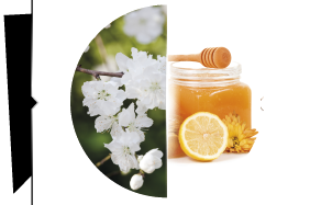 Fiori freschi agrumi e miele